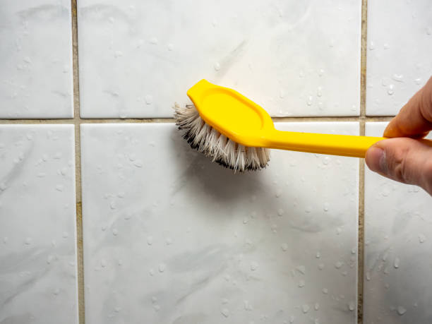 Best Attic Mold Removal  in Ramsey, NJ