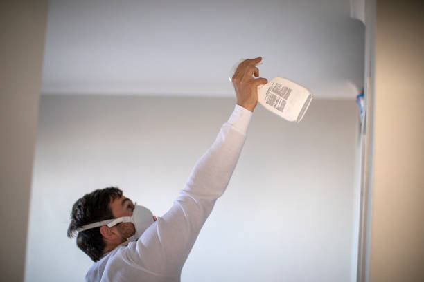 Best Mold Cleaning Services  in Ramsey, NJ