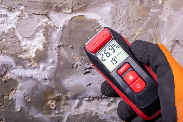 Best Commercial Mold Removal  in Ramsey, NJ
