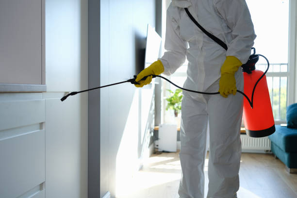 Best Mold Damage Repair  in Ramsey, NJ