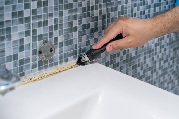 Best Toxic Mold Removal  in Ramsey, NJ