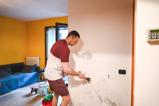 Best Mold Cleaning Services  in Ramsey, NJ