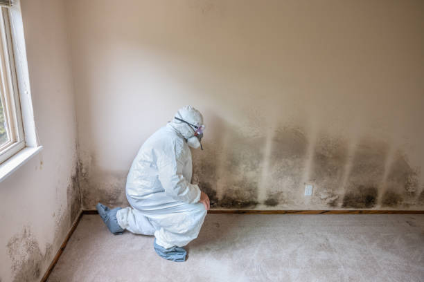 Best Crawl Space Mold Removal  in Ramsey, NJ